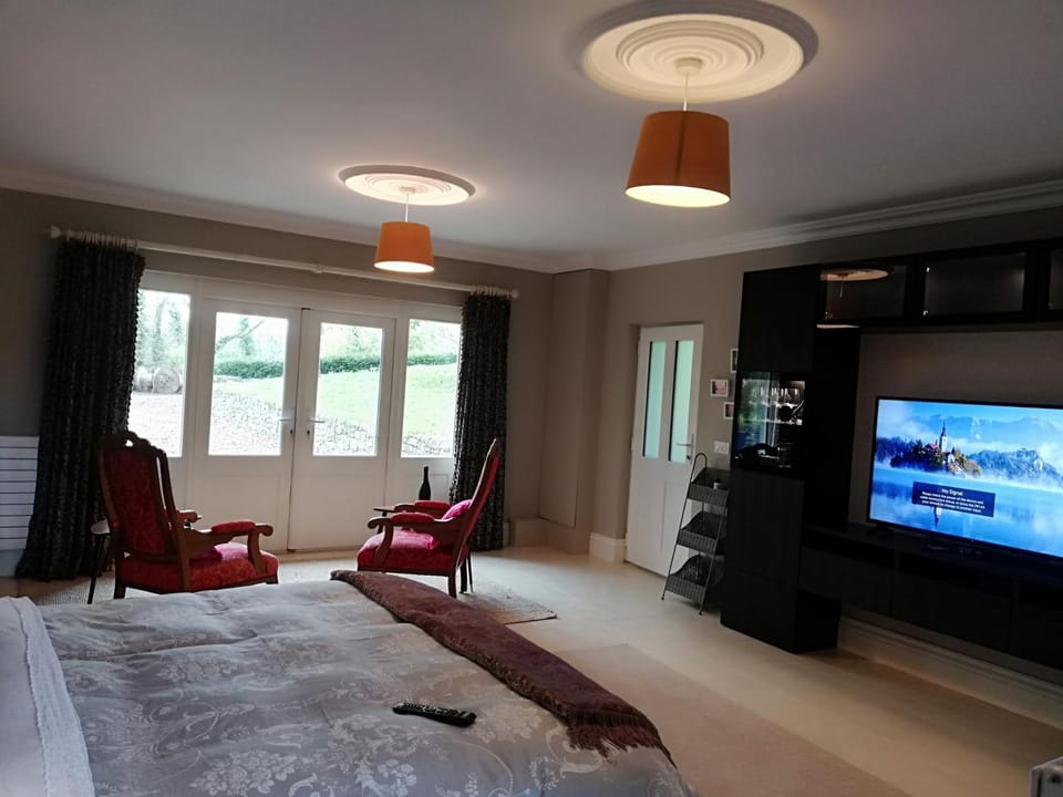 1 bed studio Bed and Breakfast in County Mayo