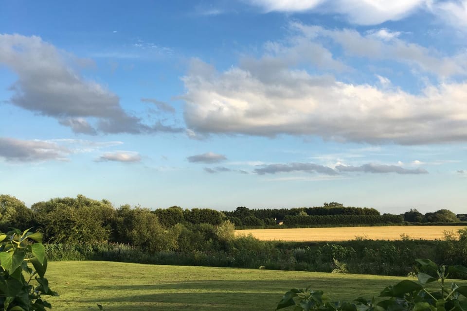 Natural landscape