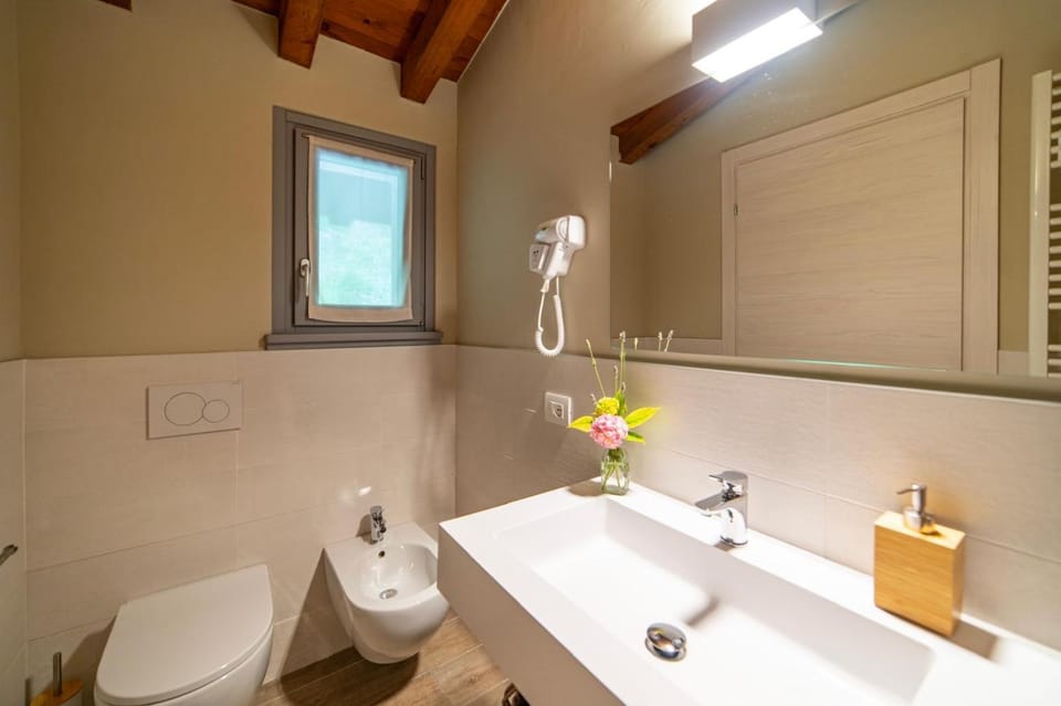 Toilet, Bathroom, bidet