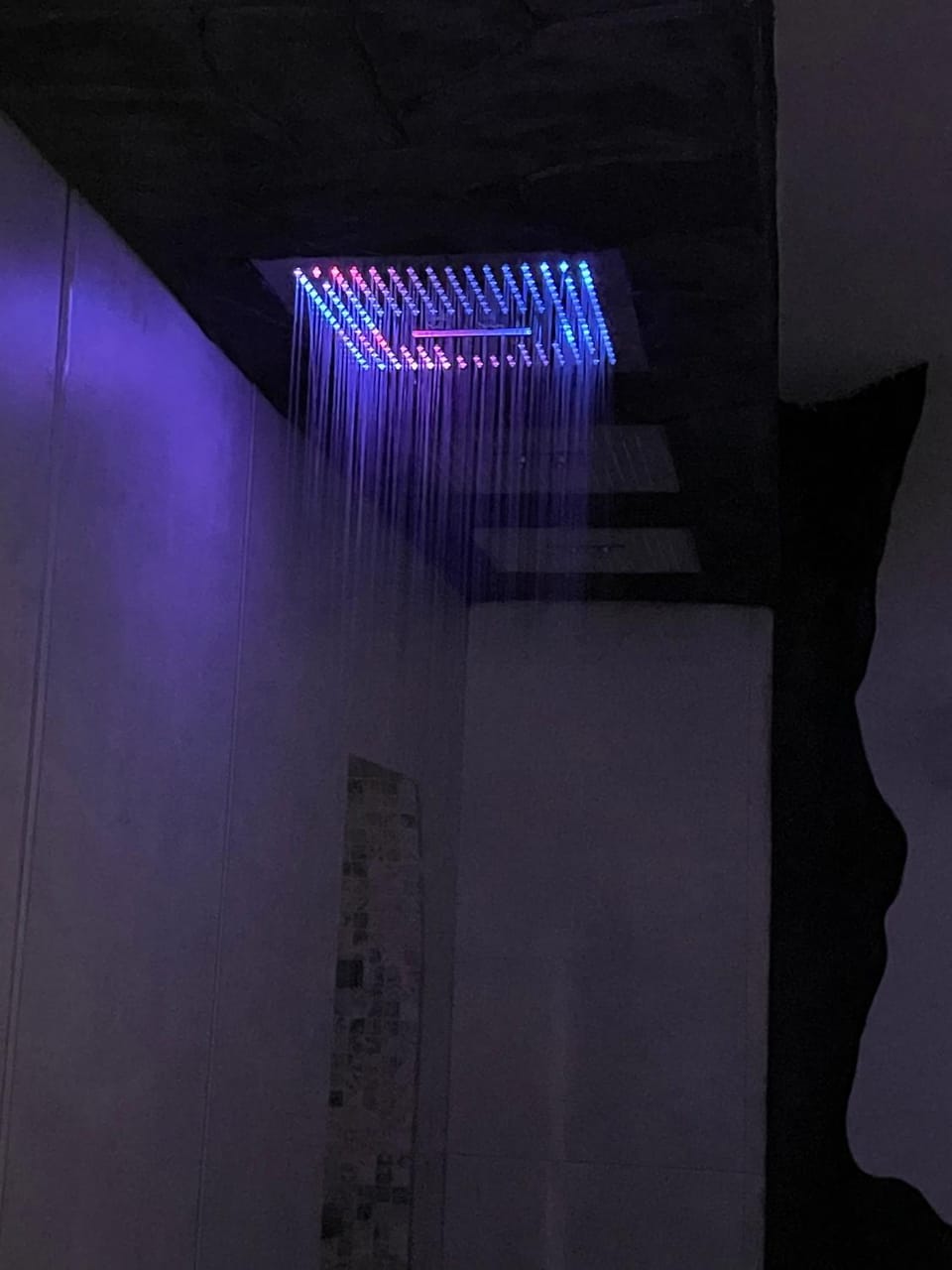 Shower, Spa and wellness centre/facilities
