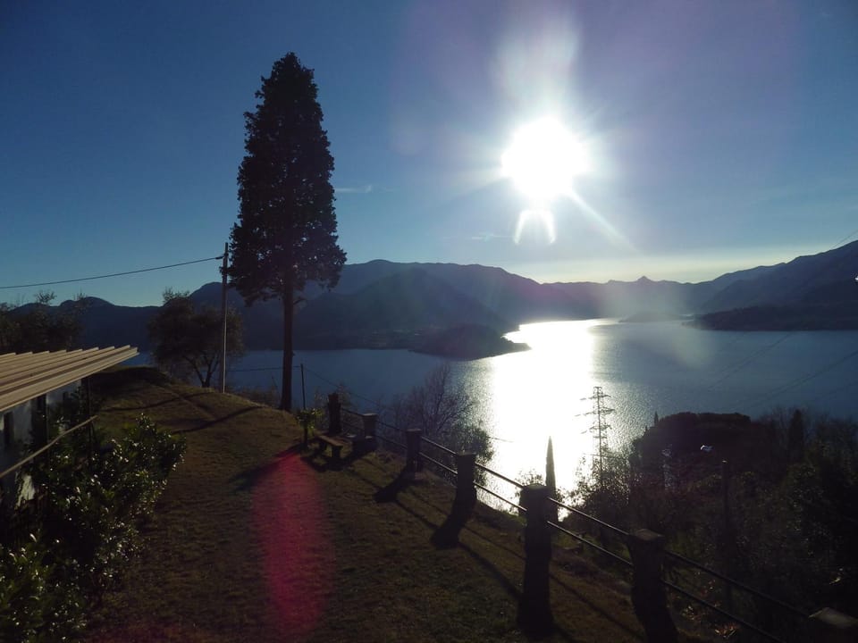 Lake view