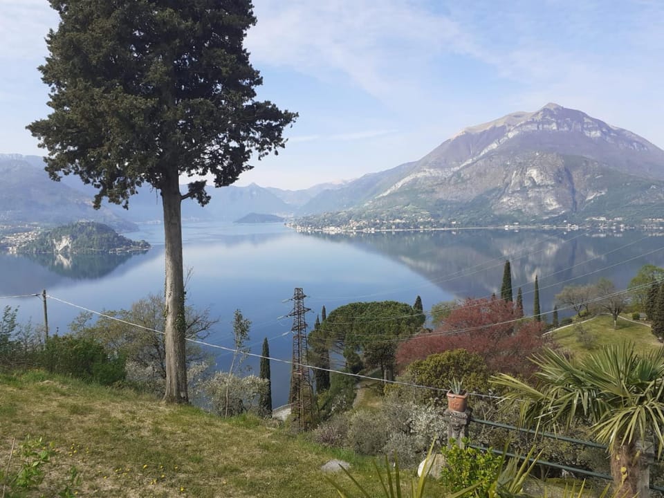 Lake view