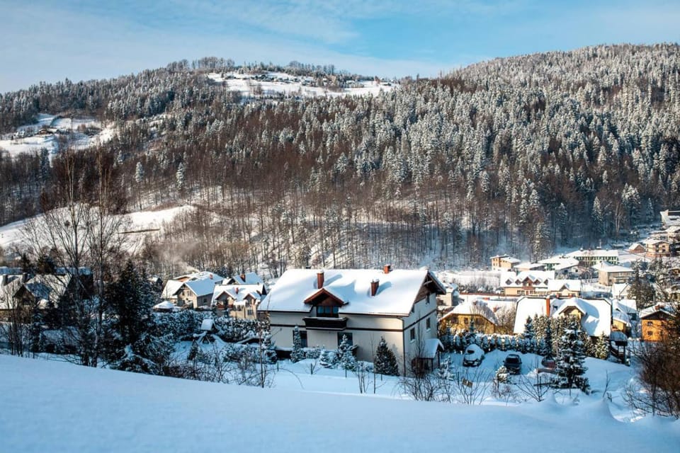 Winter, Mountain view