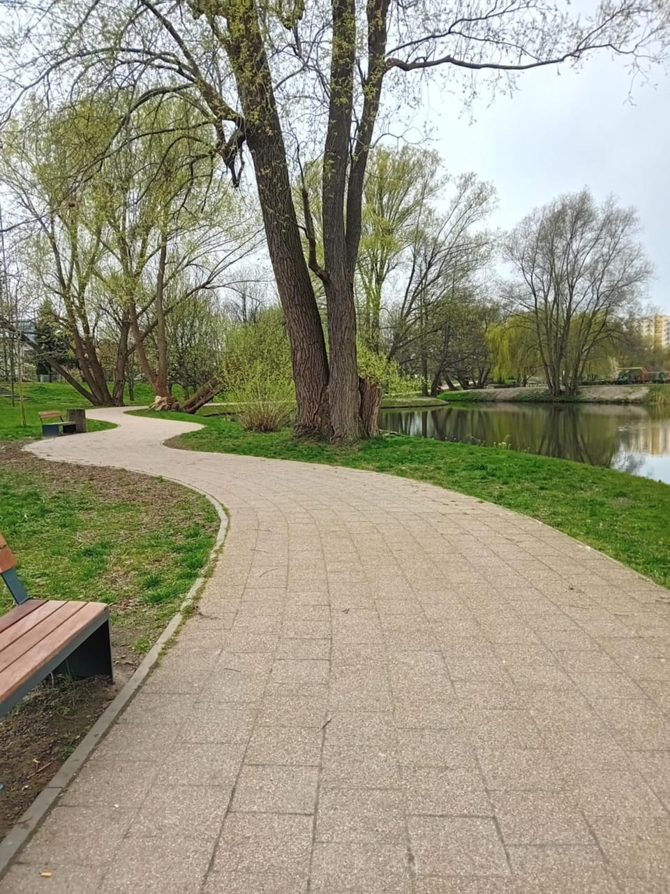 Spring, Natural landscape, Summer, Lake view, Lake view, Location