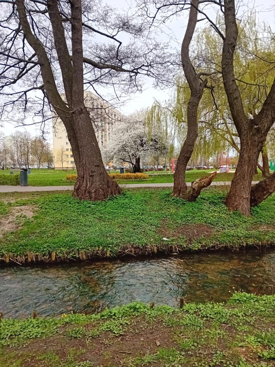 Natural landscape, River view, Location