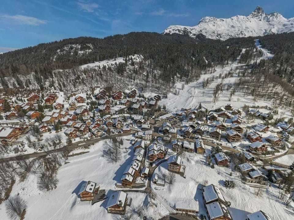 Appartement ski aux pieds avec terrasse et accès piscine Apartment in Les Allues