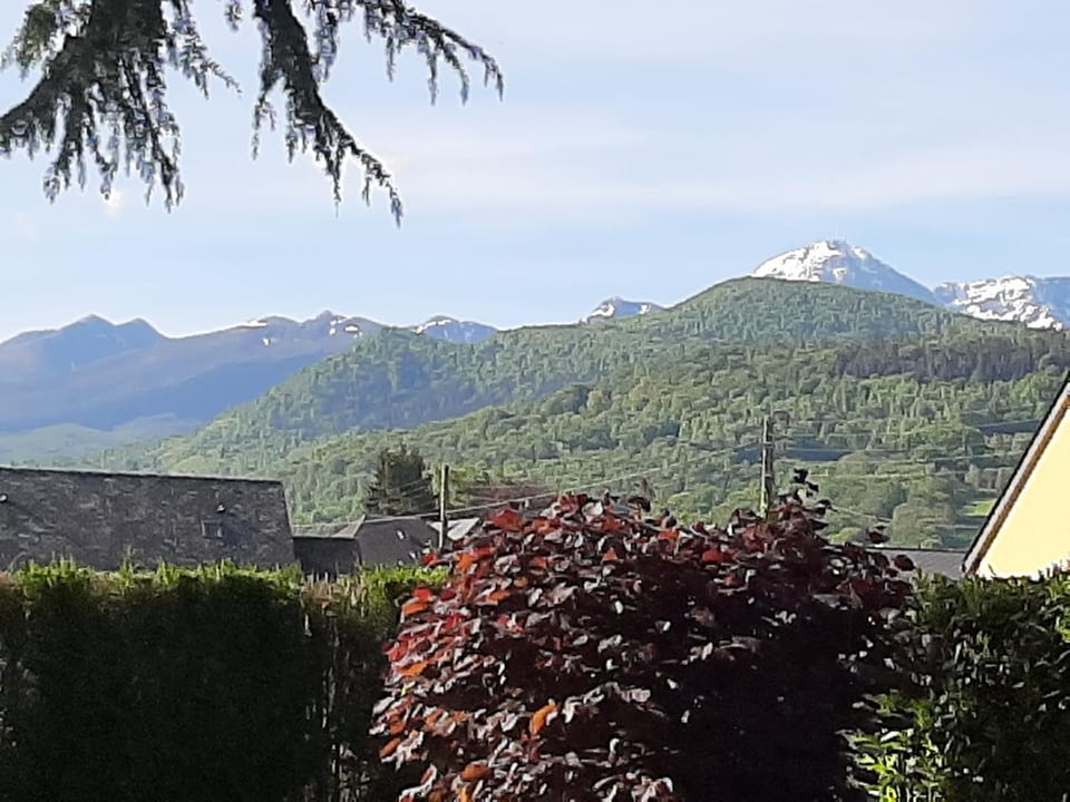 Mountain view