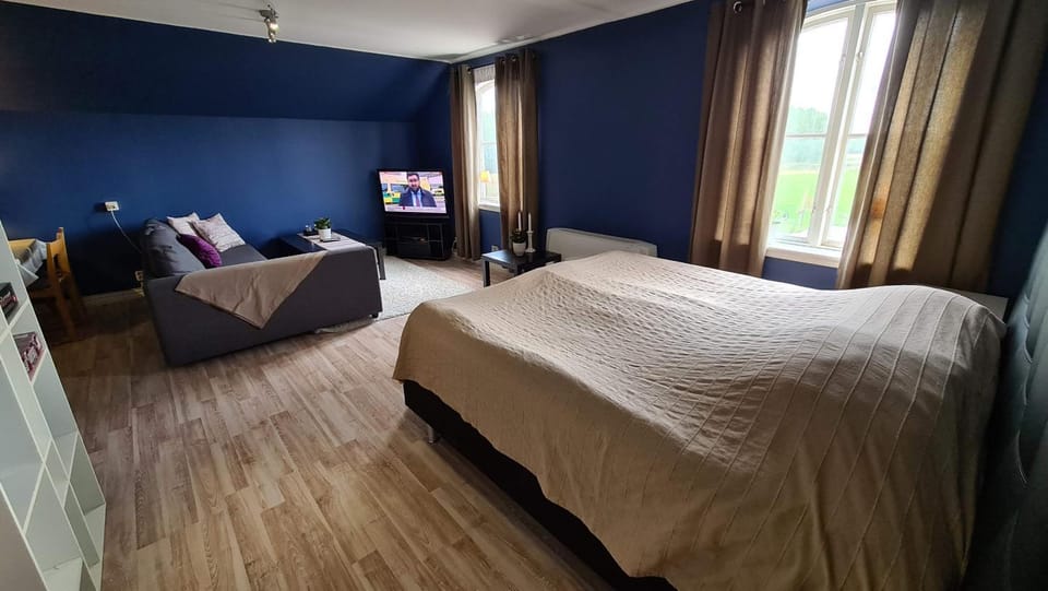 Bed, Day, TV and multimedia, Photo of the whole room, On site