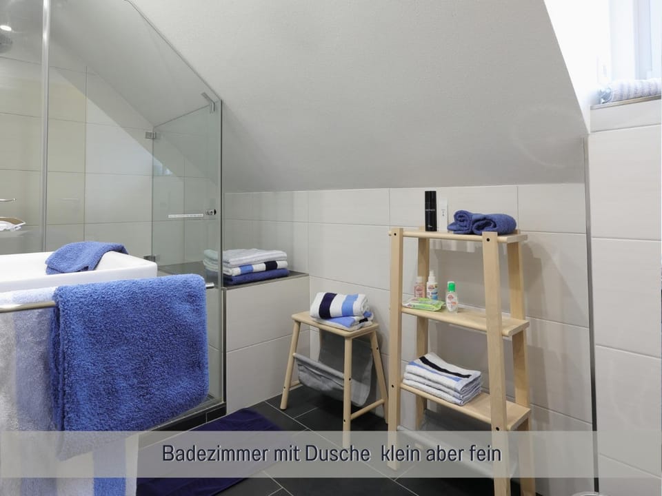 Shower, Bathroom, Photo of the whole room, hair dryier