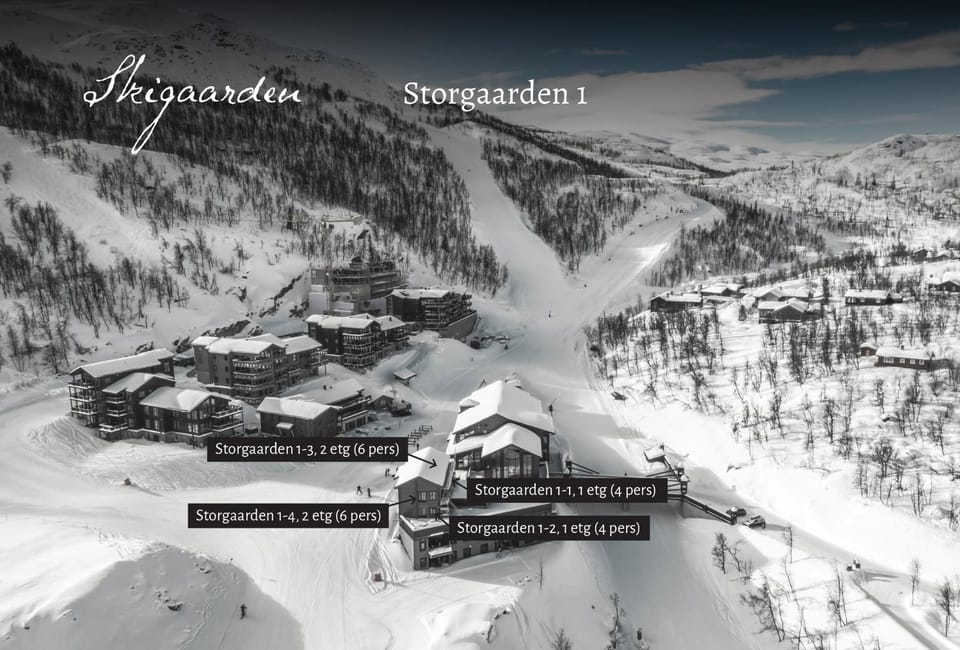 Winter, Mountain view