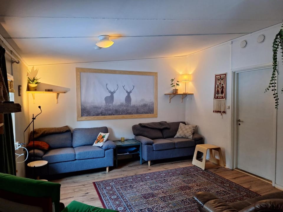 Communal lounge/ TV room, Living room