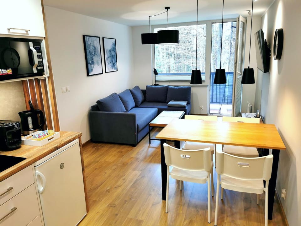 TV and multimedia, Kitchen or kitchenette, Living room, Seating area, Dining area, minibar