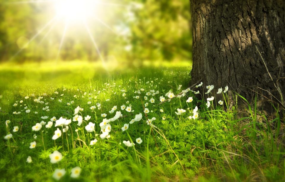Natural landscape
