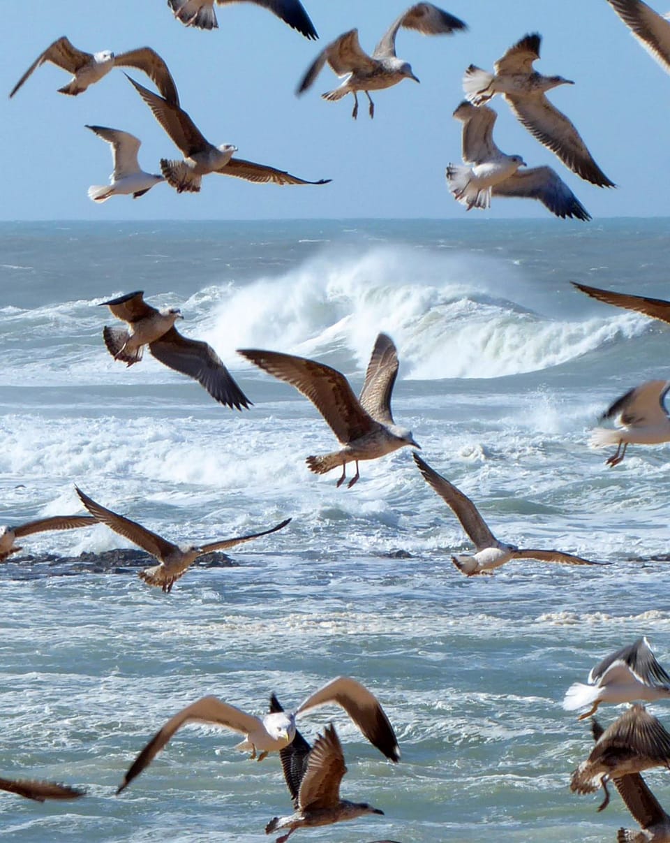 Beach, Sea view