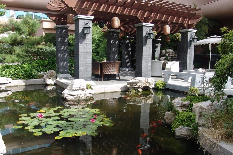 Garden view
