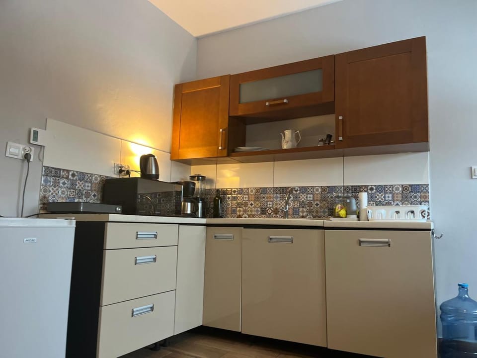 Apartament Leśna Ostoja Rychwałd Apartment in Lesser Poland Voivodeship