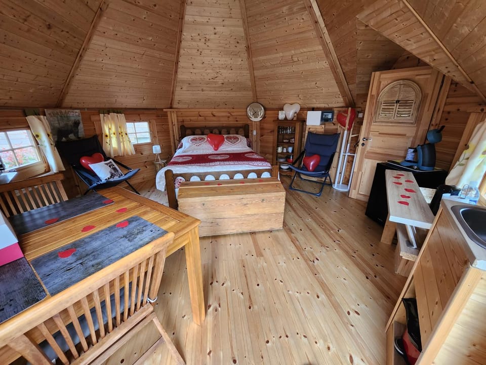 Bed, Kitchen or kitchenette, Photo of the whole room, Seating area, Dining area, Bedroom