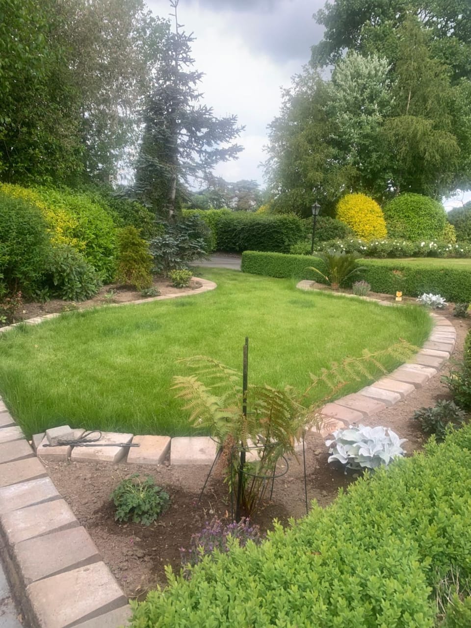 Natural landscape, Garden, Garden view