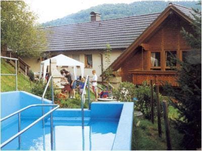 Hirschen-Dorfmühle Bed and Breakfast in Ortenau