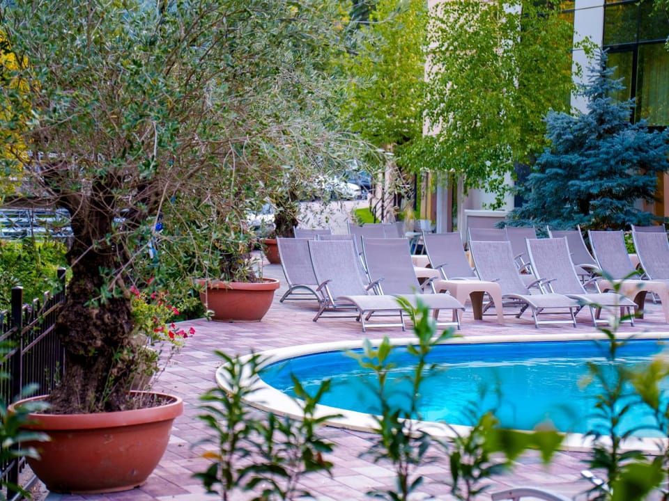 Day, Natural landscape, Garden, Pool view, Swimming pool, sunbed