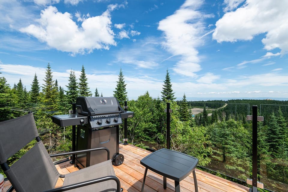 Patio, BBQ facilities