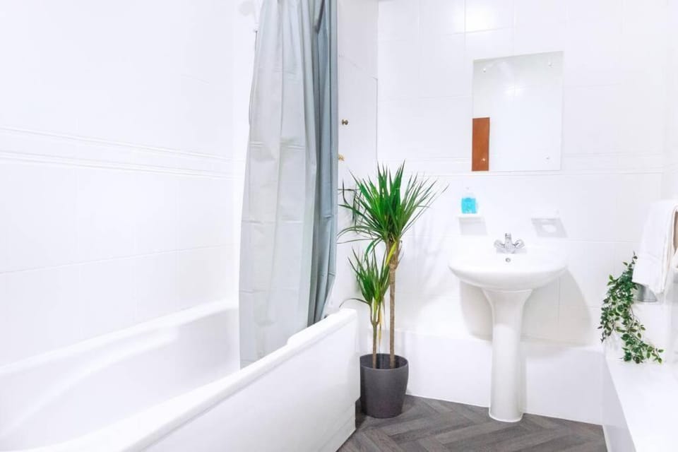 Shower, Toilet, Bathroom, Bath