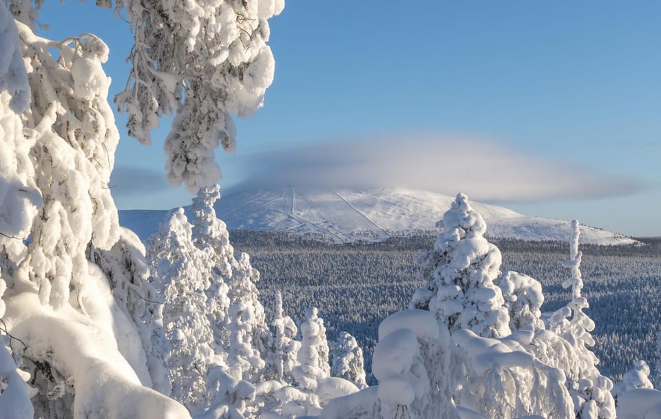 Natural landscape, Winter