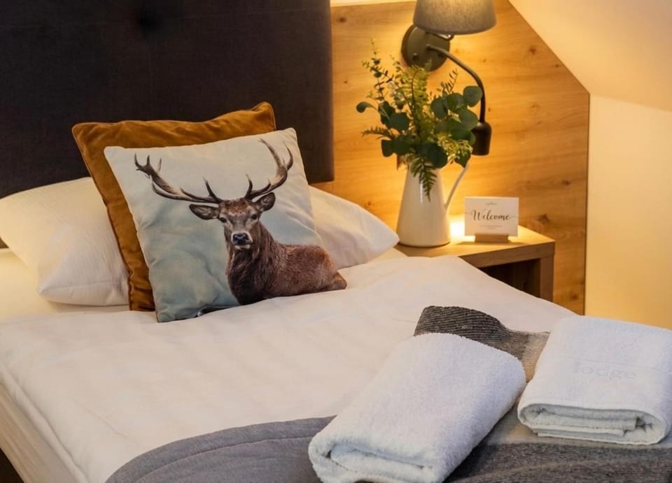 Bed, Photo of the whole room, Bedroom, towels