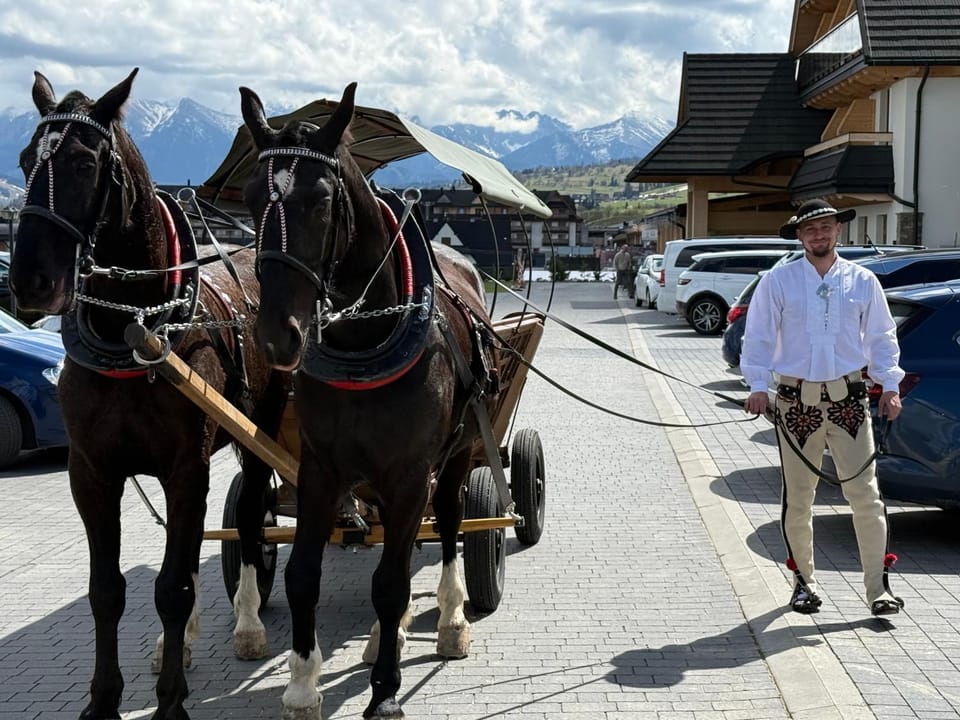 Day, People, Neighbourhood, Horse-riding, Animals, Parking
