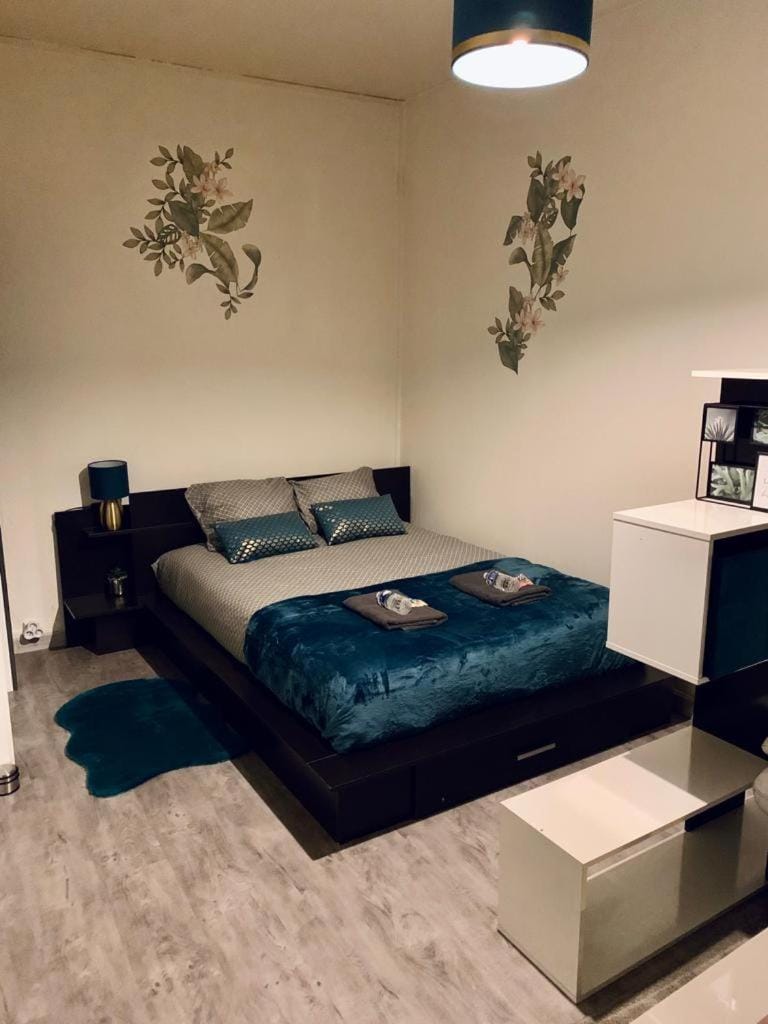 STUDIO DENAIN Apartment in Hauts-de-France