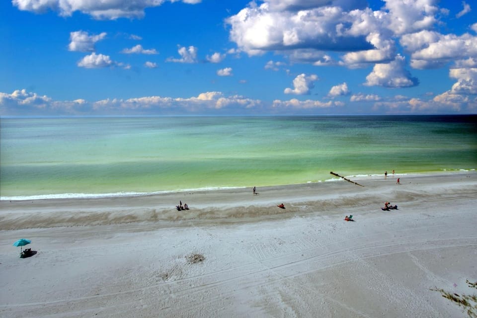 Arena De Madeira 502- Premier House in Madeira Beach