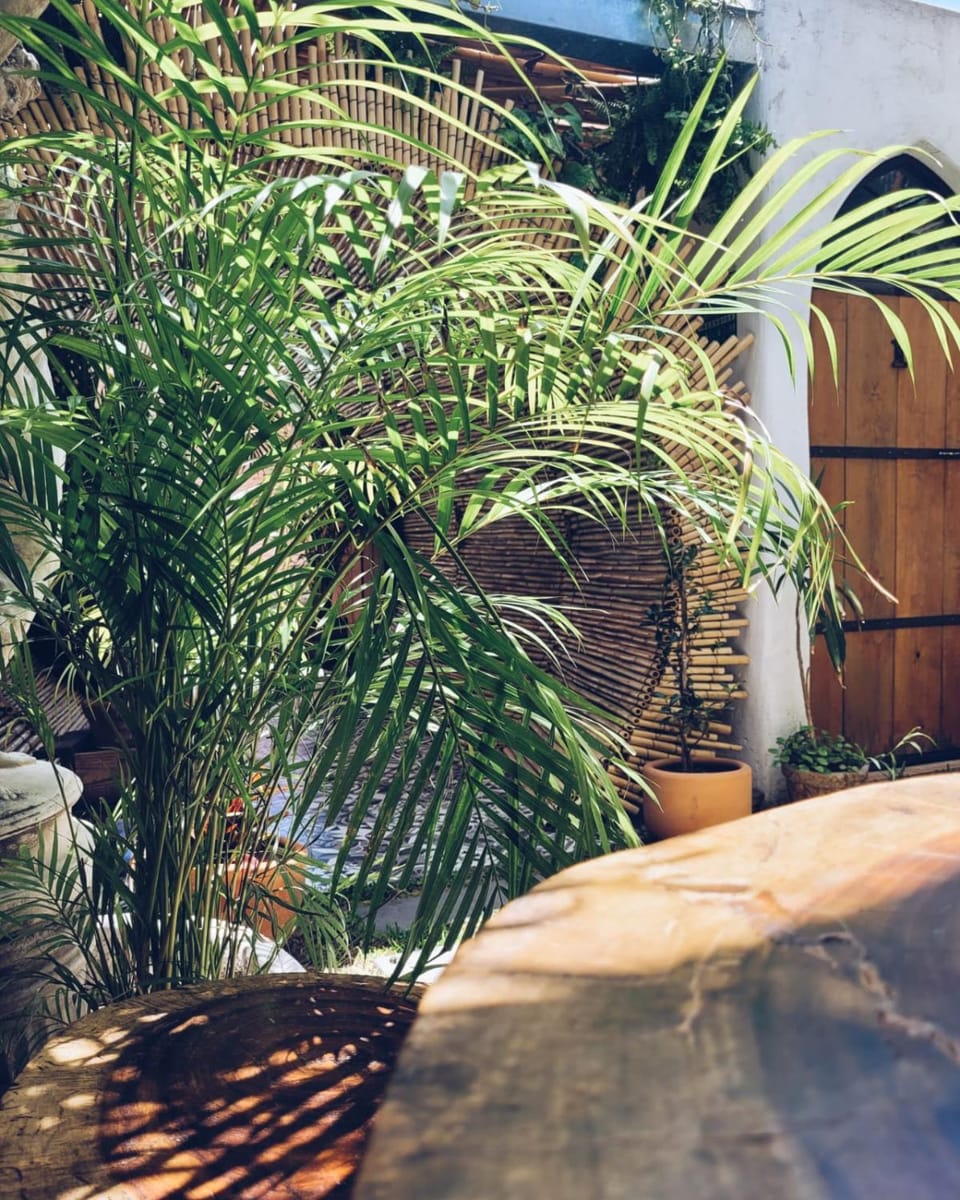 Hoja Santa Posada Apartment hotel in Cholula