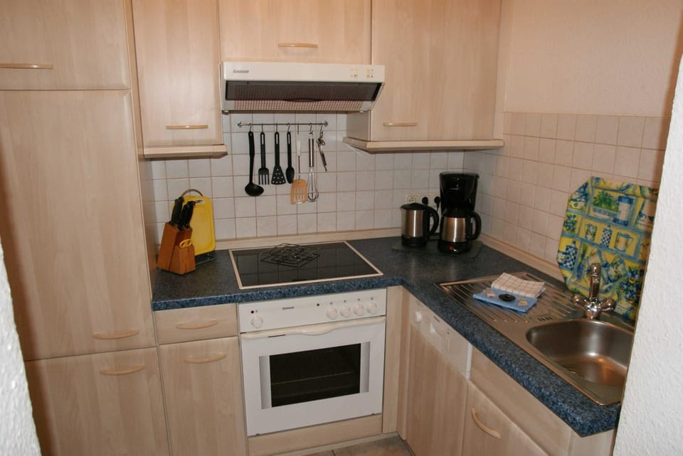 Kitchen or kitchenette, dishwasher, stove, toaster