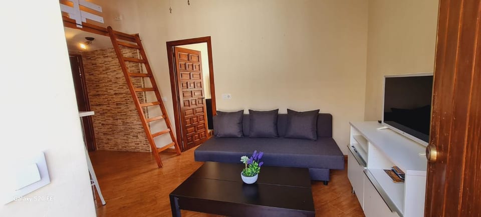 Communal lounge/ TV room, TV and multimedia