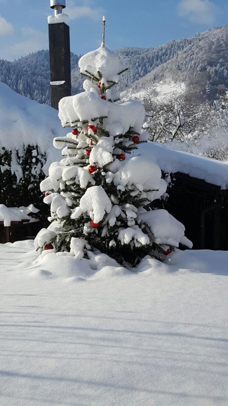 Day, Winter, Mountain view