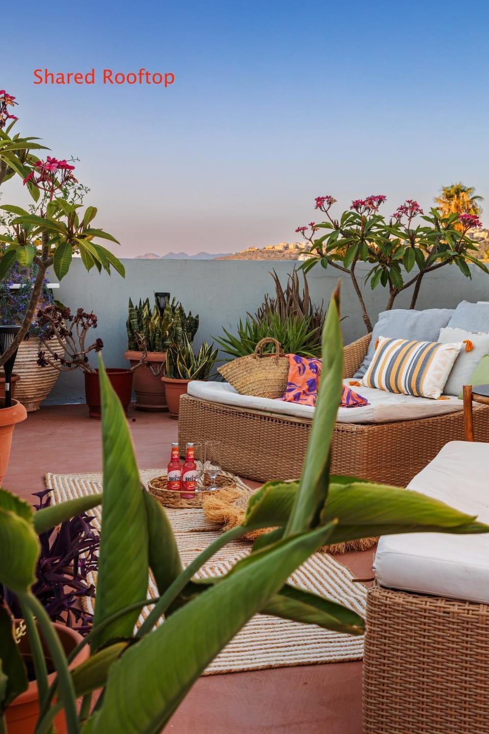 Balcony/Terrace, sunbed