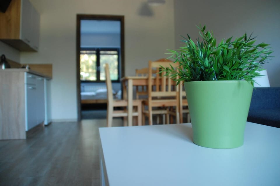 Willa Konwalia Wieleń Apartment in Greater Poland Voivodeship