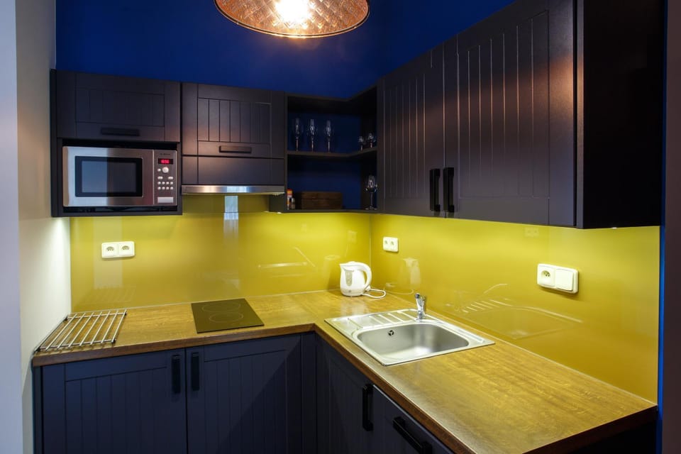 Kitchen or kitchenette, dishwasher, minibar, stove
