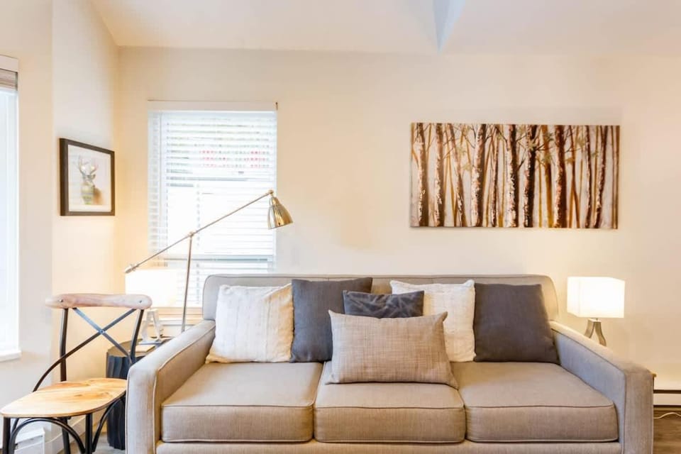 Cute and Cozy, walk to Gondola Ski in Out House in Whistler