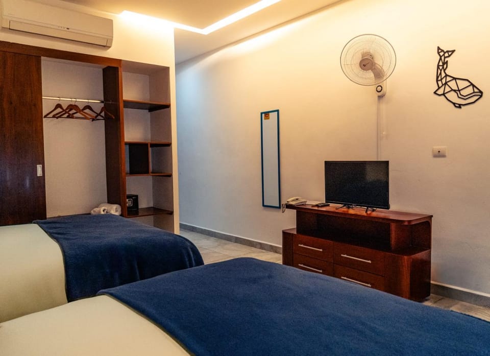 Bed, TV and multimedia