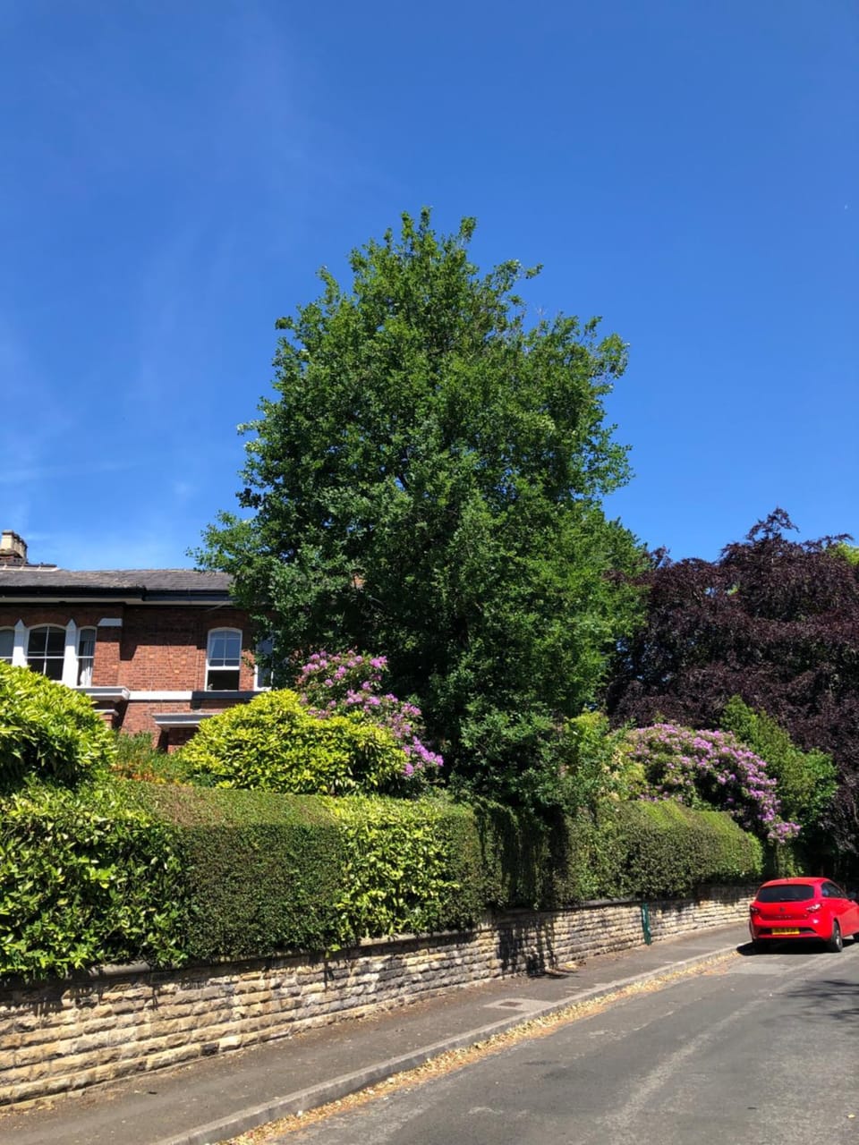 Chorlton Garden Rooms. Relax, work, stay and play. Apartment in Stretford
