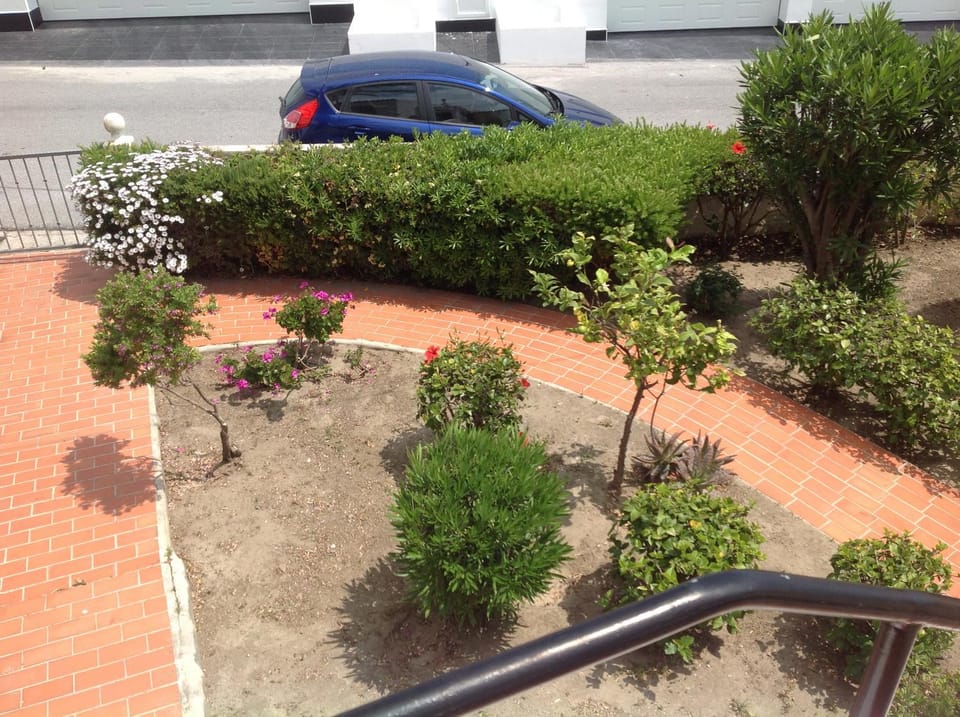 Garden, Garden