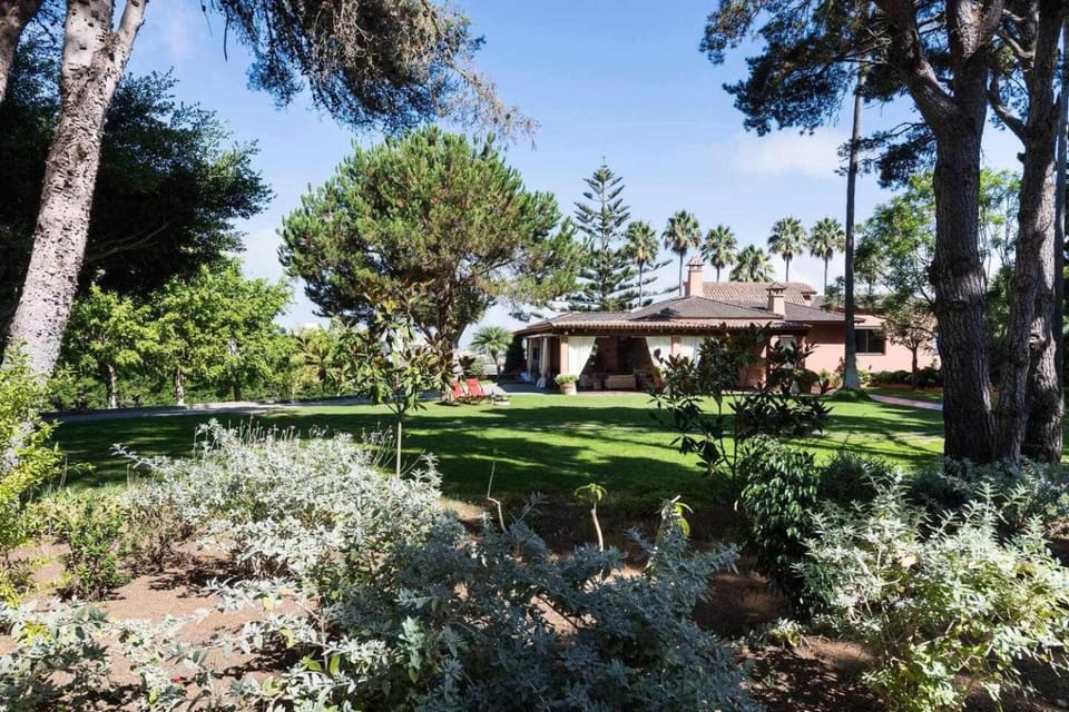 Garden view