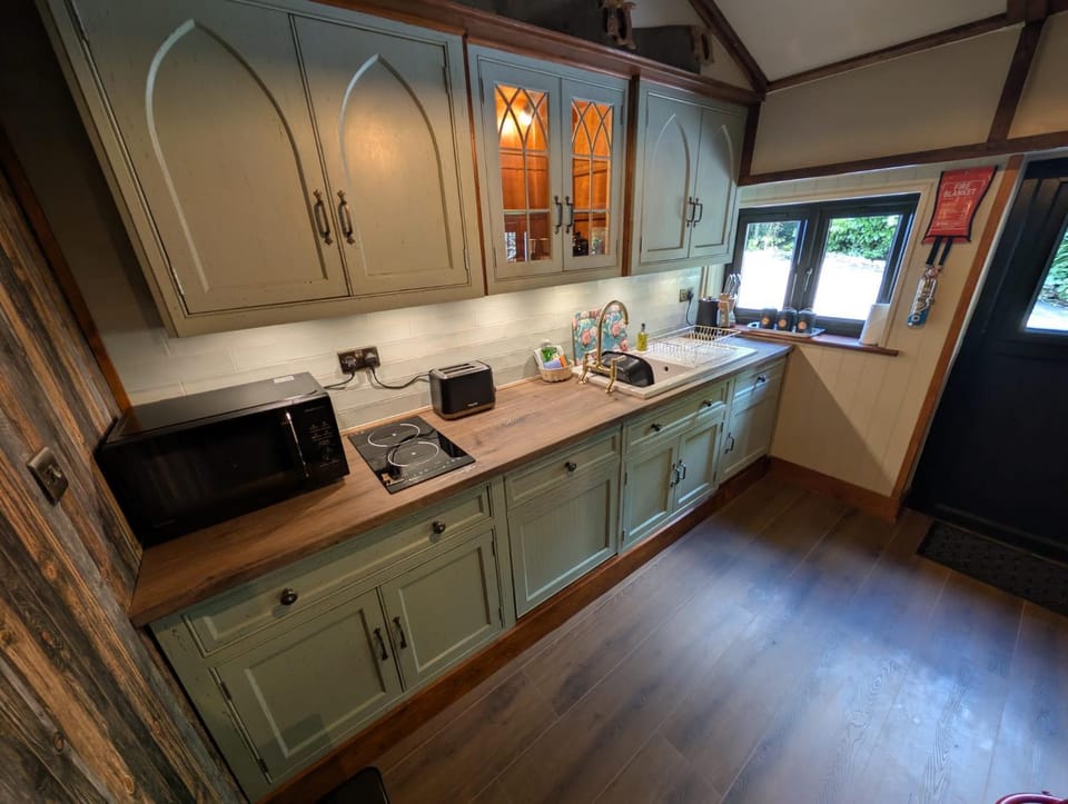 Kitchen or kitchenette, dishwasher, stove, toaster