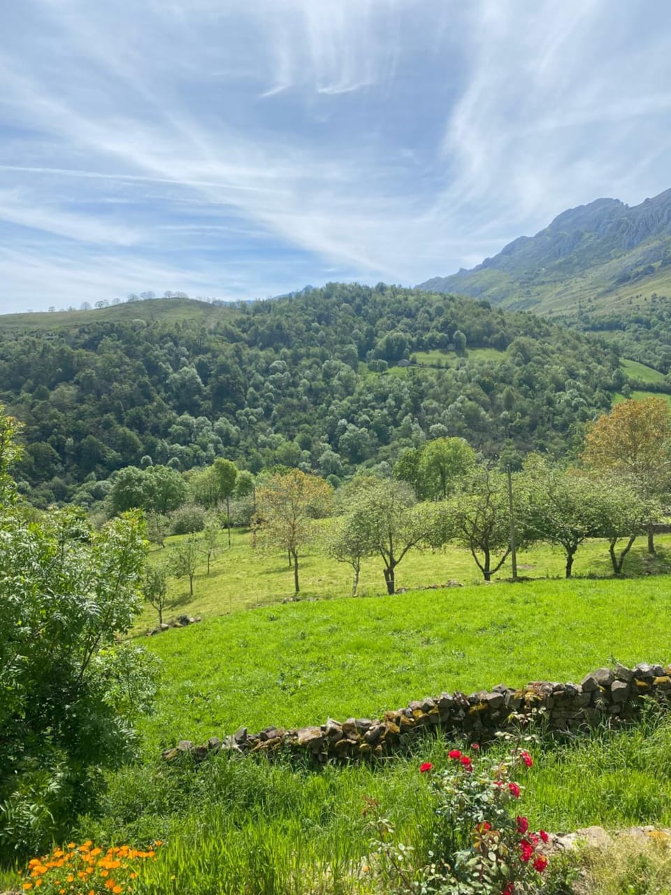 Mountain view