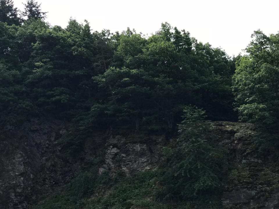 Hiking