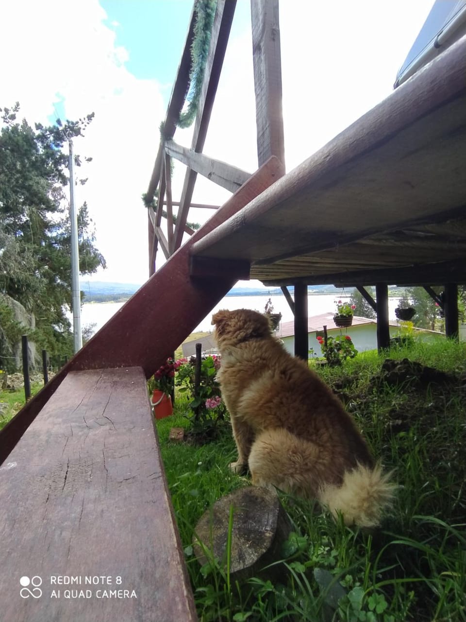 Glamping Chinu Luxury tent in Cundinamarca, Colombia