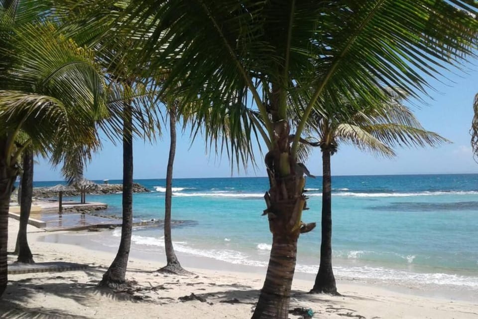 Shower, Patio, Natural landscape, Pool view, Sea view, Meals, Lunch, Dinner, Drinks, Alcoholic drinks, Non alcoholic drinks