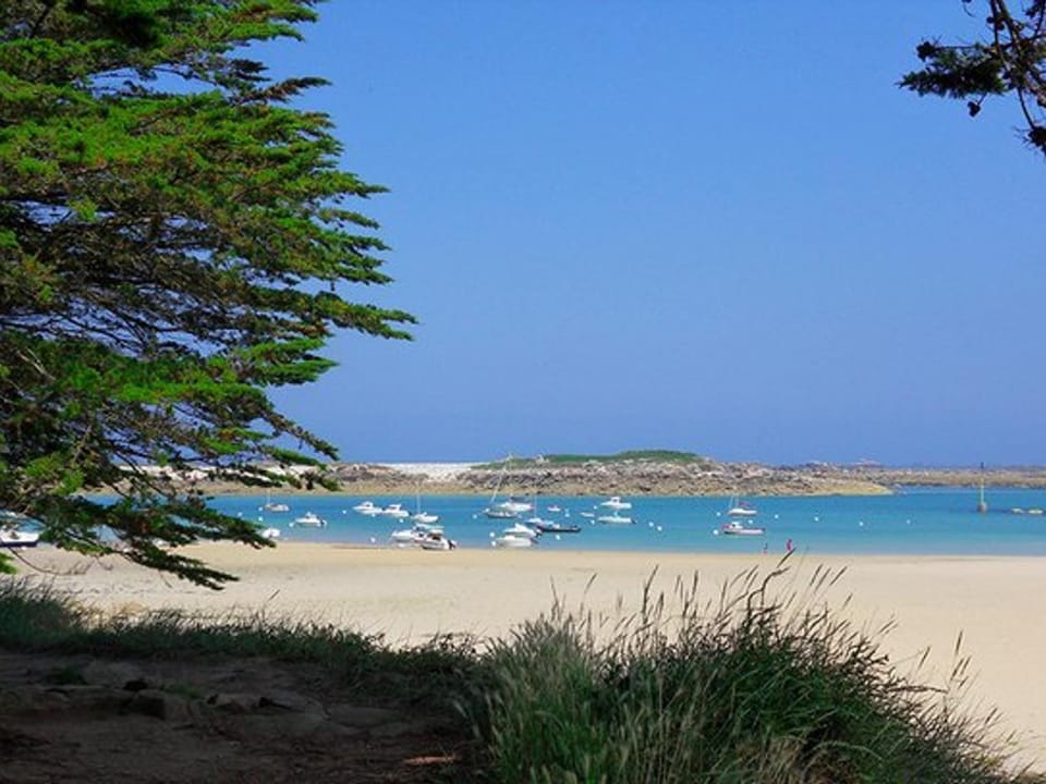 Maison 4 pers avec jardin, wifi et parking 800m de la plage - Pleumeur-Bodou - FR-1-542-39 House in Trégastel