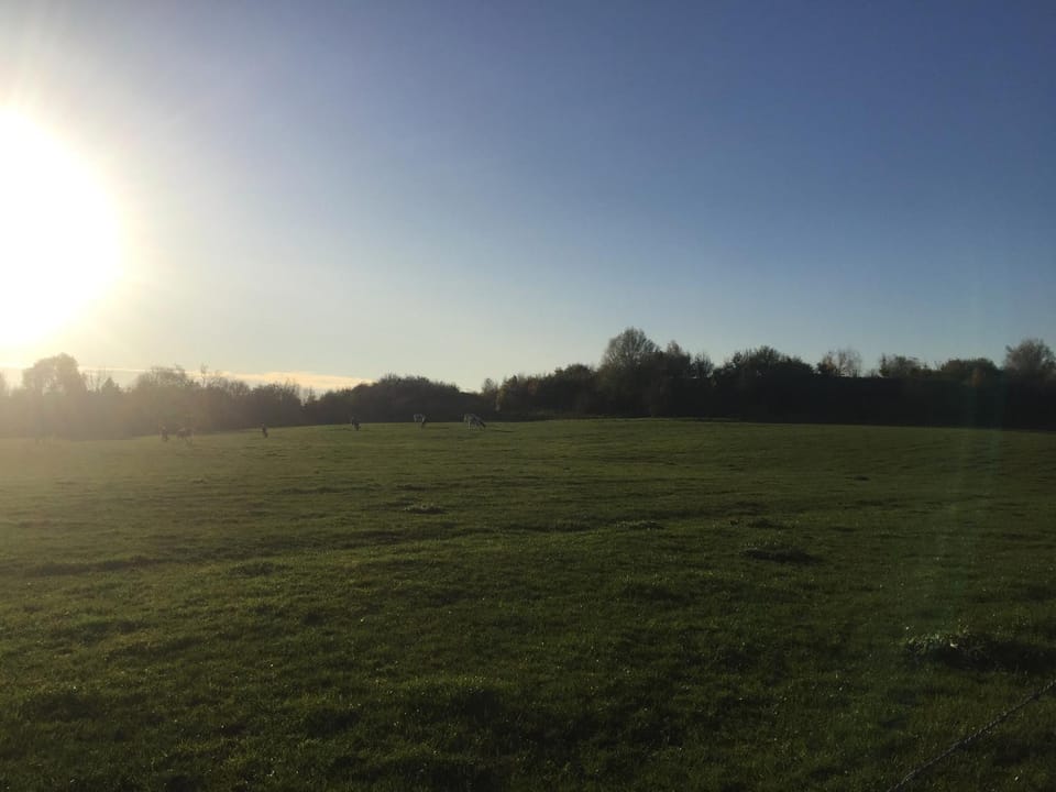 Nearby landmark, Natural landscape